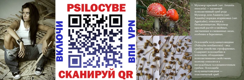 Купить закладки  Собинка  Галлюциногенные грибы Psilocybine cubensis 